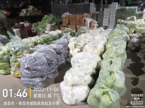 青島5大批發(fā)市場(chǎng)日供肉菜4000噸,零售均價(jià)持續(xù)下降 菜籃子 商品供應(yīng)充足